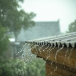 Causes of Roof Leaks