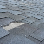 Damaged Roof Shingles