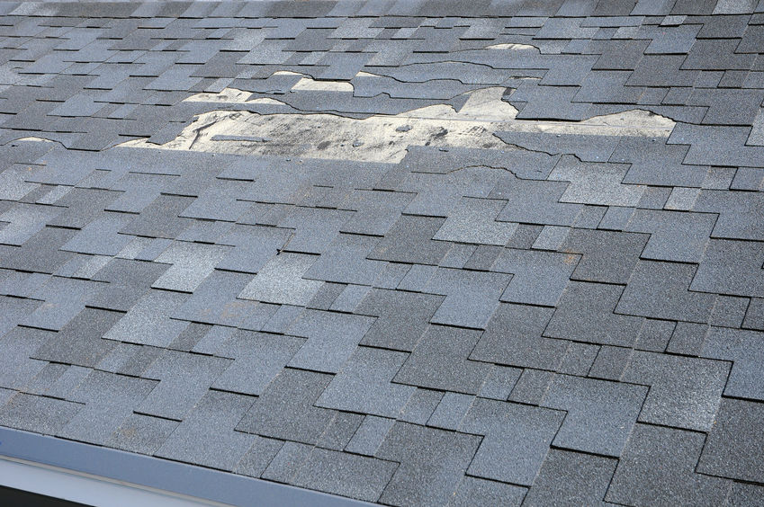 Damaged shingle roof