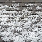 Hail on a shingle roof